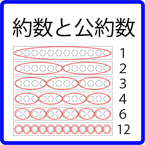 ５年算数 約数と公約数 第１時 導入 指導実践 ネコ好きな学校の先生の日常